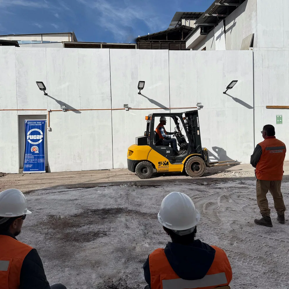 SerMaqui.cl-Servicio-Profesional