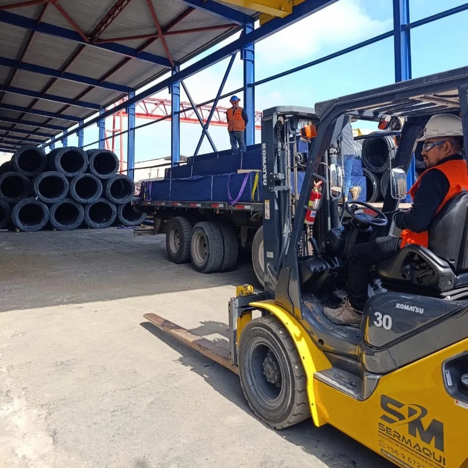 SerMaqui.cl-Servicio-Profesional
