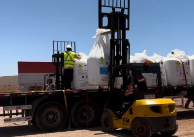 SERMAUI.CL → Servicios → Grúas Horquilla